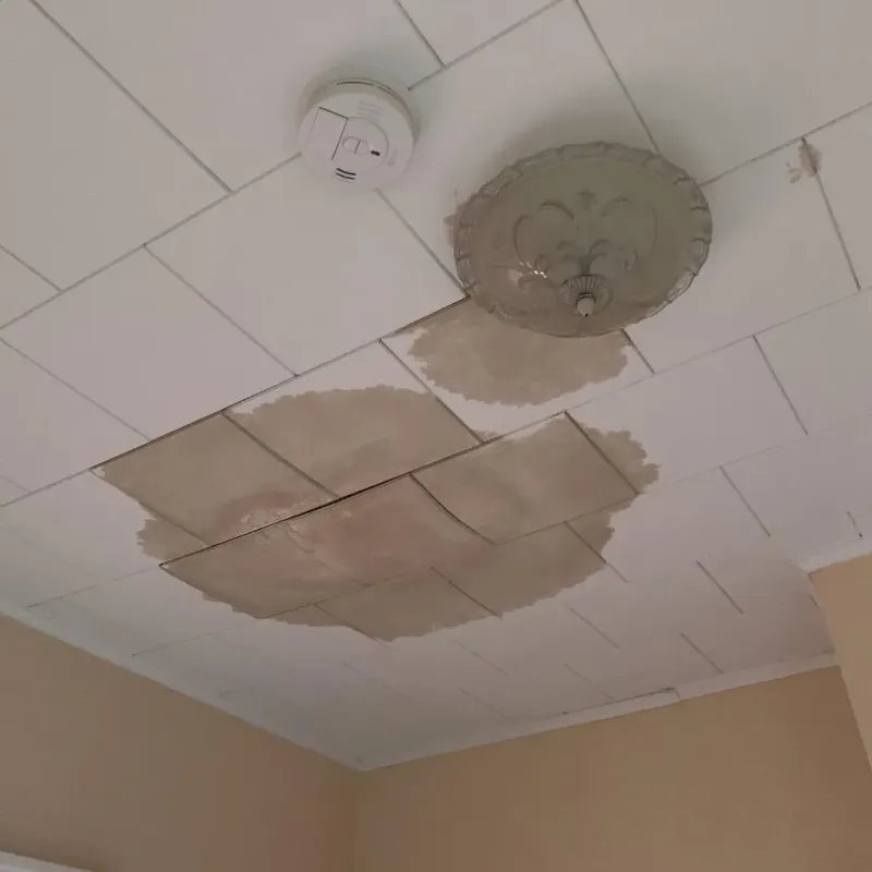 Ceiling Water Damage Repair in Sheridan County, WY