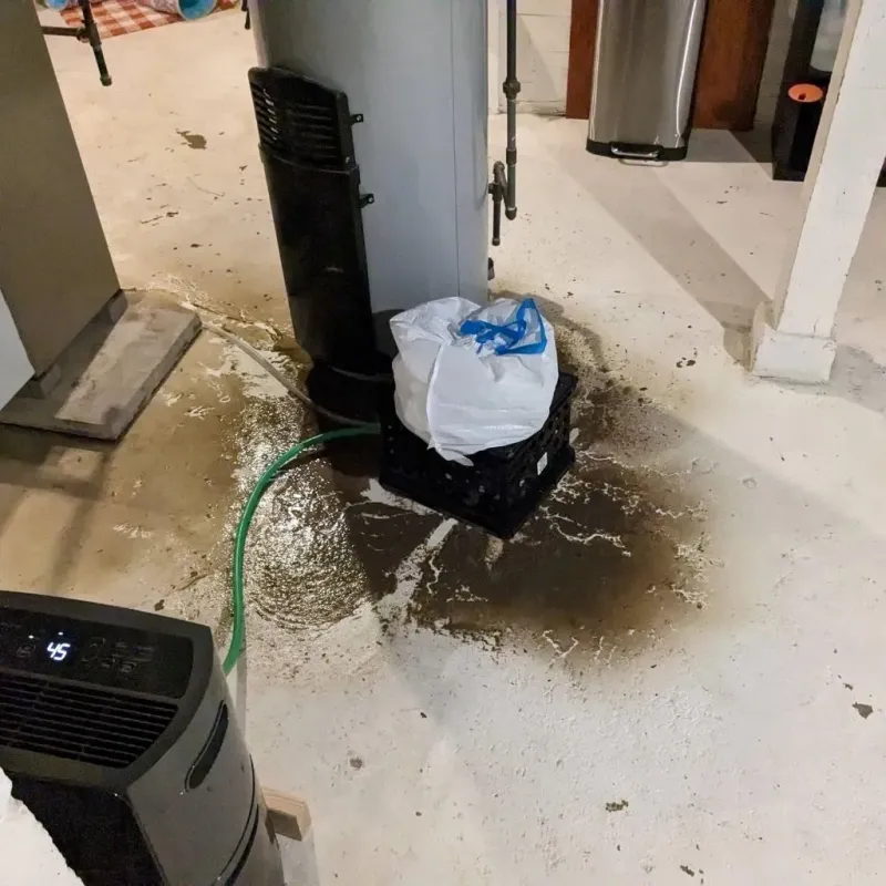 Sewage Backup Cleanup Service in Sheridan County, WY